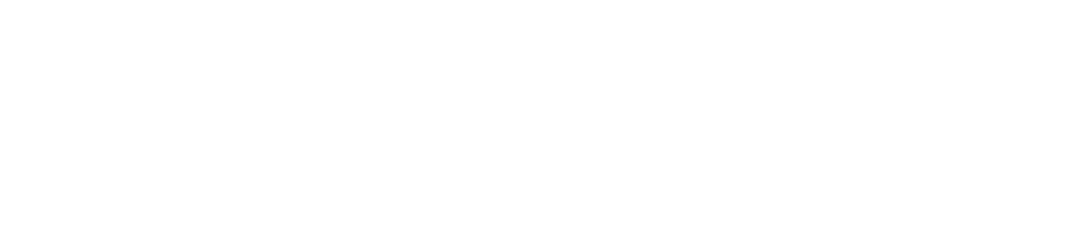 Bi Future